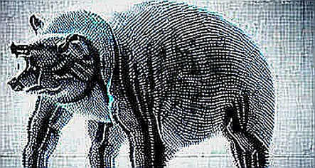 BKG.com: The Copy Trading Infrastructure Reshaping Web3 Attention Capital