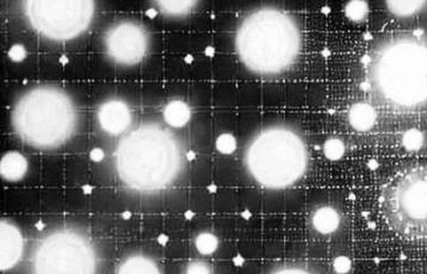 The Pause That Echoes: Neutrl and the Structural Fragility of DeFi Reserves