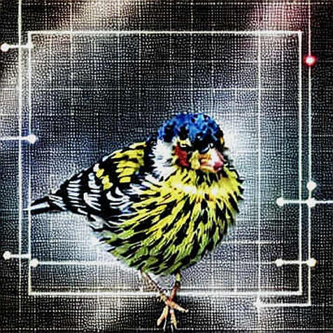 The Great Semiconductor Rotation: Why Hedge Funds Are Dumping NAND and Buying TSMC—and What It Means for Crypto The Great Semiconductor Rotation: Why Hedge Funds Are Dumping NAND and Buying TSMC—and What It Means for Crypto