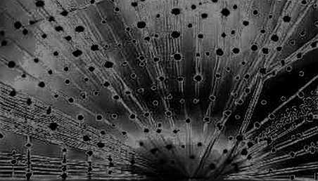 Polymarket’s Airdrop Paradox: When the Prediction Platform Can’t Predict Its Own Token Drop