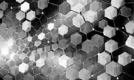 The Great Institutional Divergence: Why Wall Street Is Fleeing Ethereum ETFs While Embracing Bitcoin The Great Institutional Divergence: Why Wall Street Is Fleeing Ethereum ETFs While Embracing Bitcoin