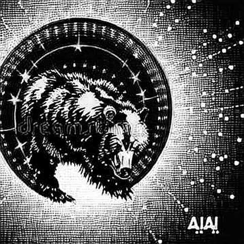 The Momentum Crash: When Fear of Holding Becomes a Liquidity Trap